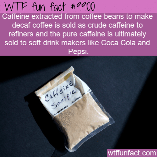 fun fact caffeine is removed from coffee and sold