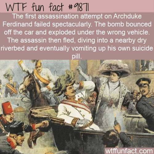 fun fact failed assassination ww1
