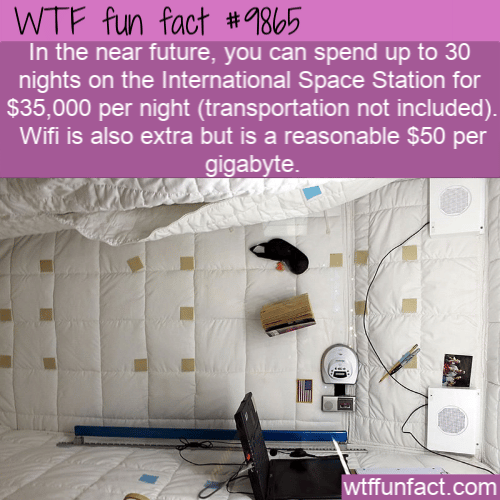 fun fact spend night in space on iss