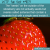 Strawberries have ovaries instead of seeds