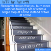 Fun Exercise Fact – Take Stairs One By One