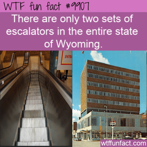 fun fact two sets of escalators in entire state of wyoming