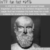 1000 ways to die wtf fun fact