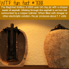 2000 year old batter the baghdad battery wtf