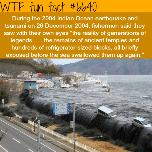 2004 tsunami - WTF fun facts