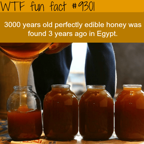 3000-year-old edible honey - WTF fun fact