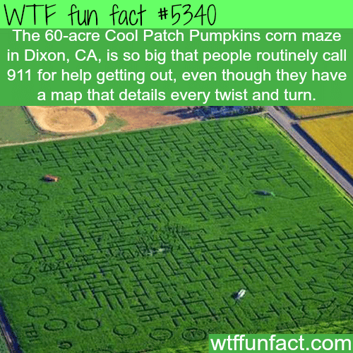 60-acre maze - WTF fun facts