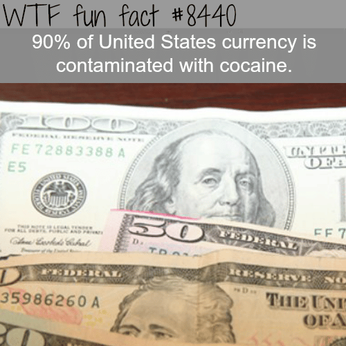90% of the U.S. currency have cocaine contamination - WTF fun facts