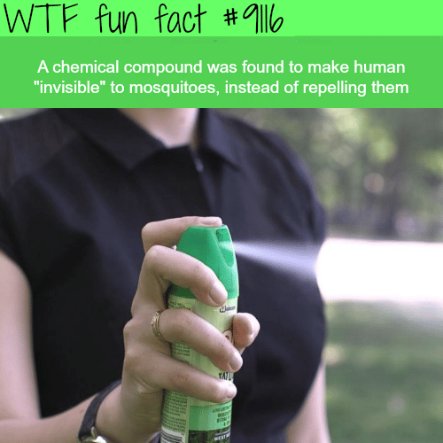 A chemical compound that will make you invisible to mosquitoes - WTF fun fact