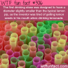 a fact about straws