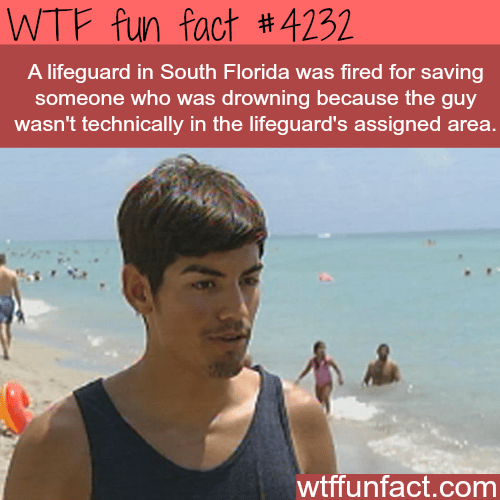 A lifeguard gets fired because he saved someone not in his area -  WTF fun facts