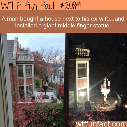 A man bought a house next to his ex-wife…-  WTF fun facts