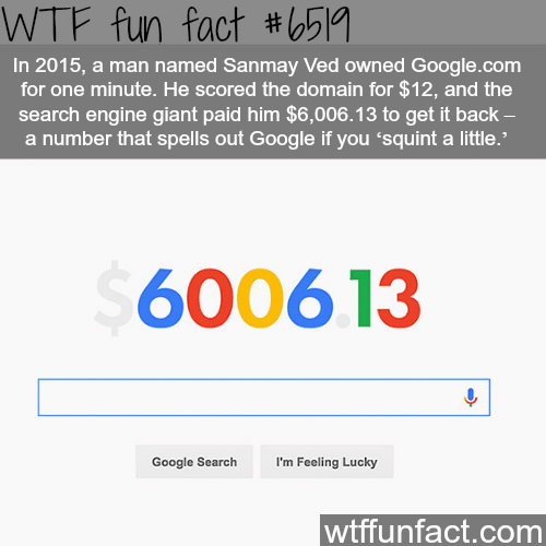 A man bought google.com domain for $12 - WTF fun facts