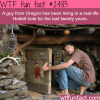 a man lives in a real life hobbit hole wtf fun facts