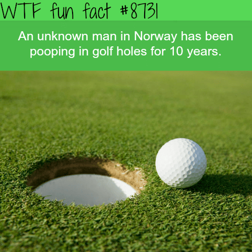 A mystery man has been pooping in golf holes for 10 years - WTF fun facts