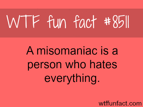 A Person Who Hates Everything - WTF fun facts