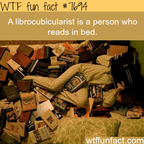 A person who reads in bed - WTF FUN FACTS