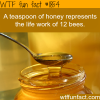 a teaspoon of honey