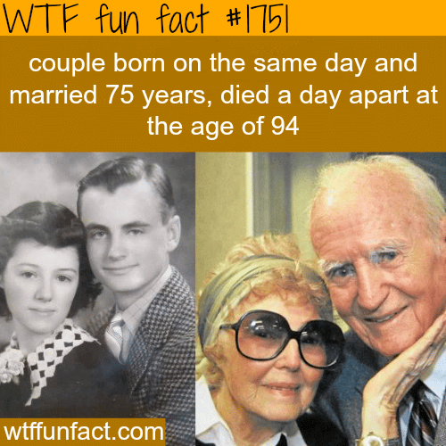 wtf facts about relationships