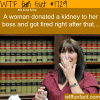 a woman donated her kidney to her boss and got