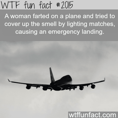 A woman farted on a plane…- WTF fun facts