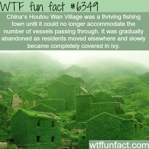 Abandoned Chinese village reclaimed by nature - WTF fun facts