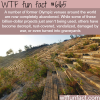 abandoned olympic stadiums wtf fun facts