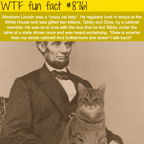 Abraham Lincoln’s cats - WTF fun facts
