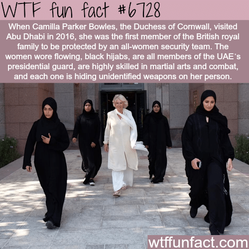 Abu Dhabi’s all women security team - WTF fun fact