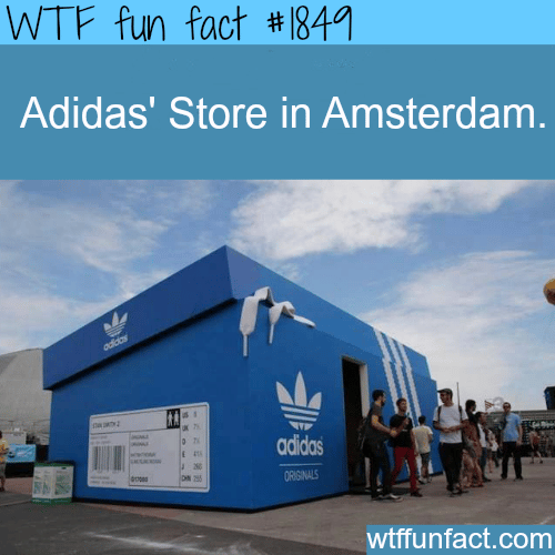 Adidas Store in Amsterdam - WTF fun facts