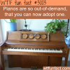 adopt a piano piano adoption