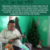 afghanistans last jew wtf fun fact