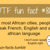 african facts