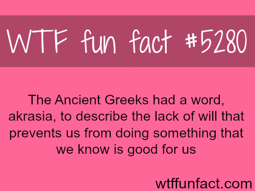 Akrasia - WTF fun facts