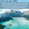 alaska will pay you money to live there wtf fun