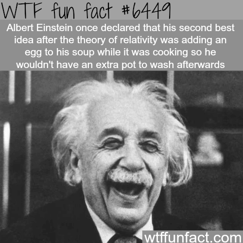 Albert Einstein’s second best idea - WTF fun facts