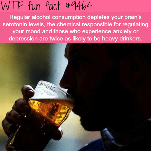 Alcohol consumption and how it affects your mood  - WTF fun fact