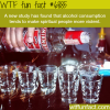 alcohol consumption wtf fun facts