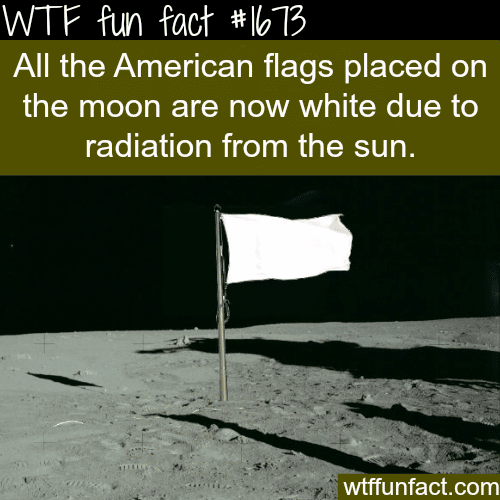All american flags on the moon are now white - WTF fun facts