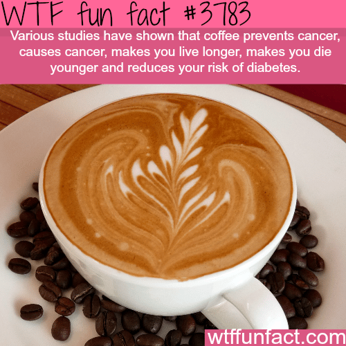 All the coffee facts that you need to know - WTF fun facts