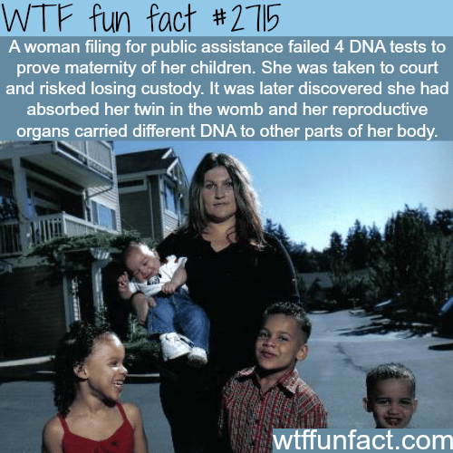 Amazing facts about twin’s DNA - WTF fun facts