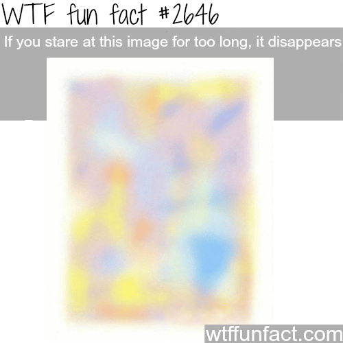 Amazing illusion - WTF fun facts