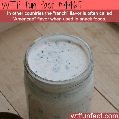 American flavor -   WTF fun facts