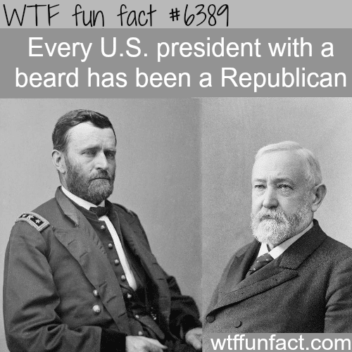 American presidents with beards - WTF fun facts