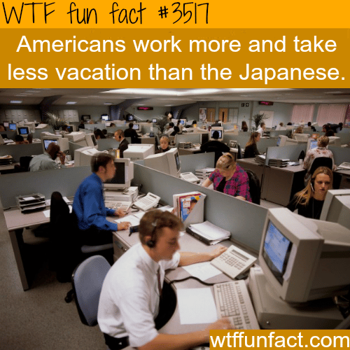 American work vs Japanese work -  WTF fun facts