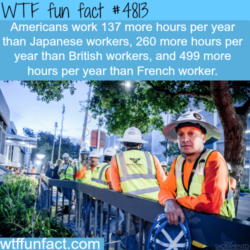 American workers work more than the Japanese - WTF fun facts