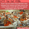 americas prison population wtf fun facts
