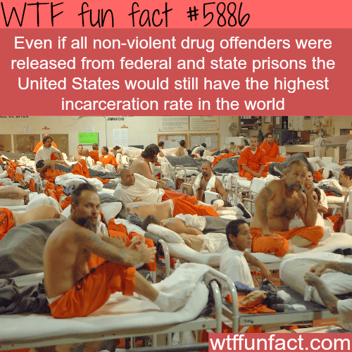 America’s prison population - WTF fun facts