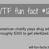 an american charity pays for drugs