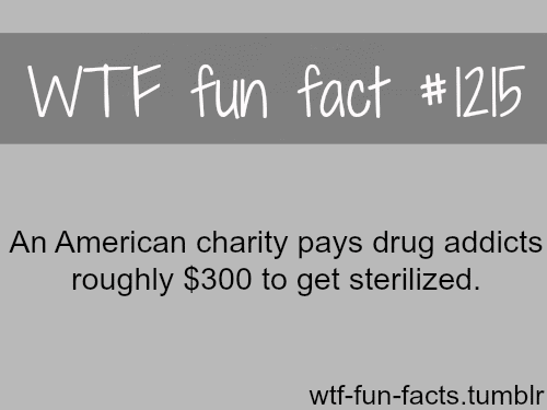 An American charity pays drug addicts roughly $300 to get sterilized. (SOURCE)